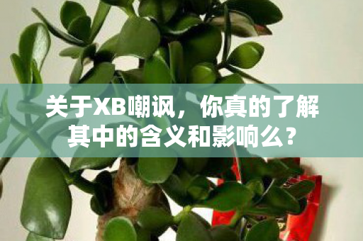 关于XB嘲讽，你真的了解其中的含义和影响么？
