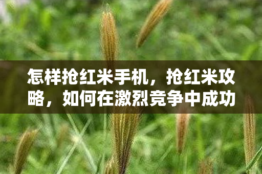 如何在激烈竞争中成功抢购红米手机图片