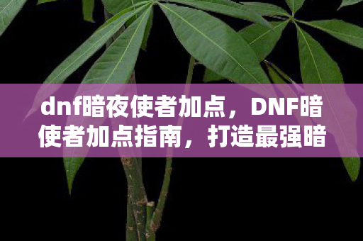 打造最强暗属性角色的关键图片