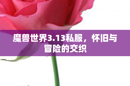 怀旧与冒险的交织图片