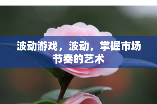 掌握市场节奏的艺术图片