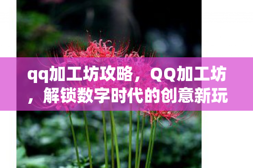 解锁数字时代的创意新玩法图片