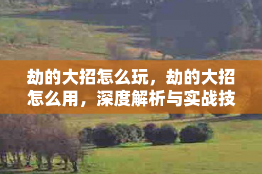 深度解析与实战技巧图片