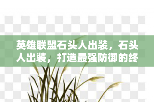 打造最强防御的终极指南图片