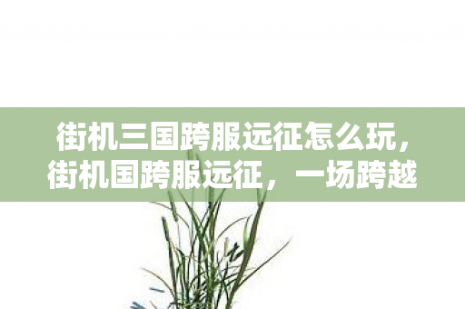 街机三国跨服远征怎么玩图片