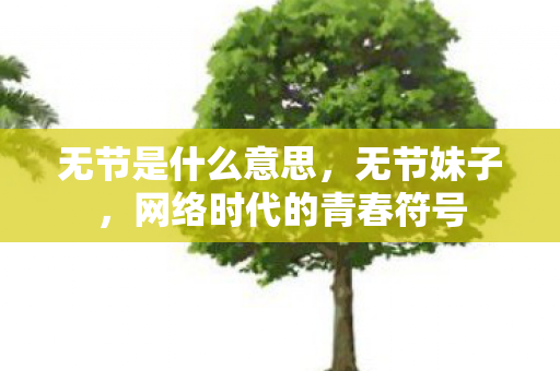 网络时代的青春符号图片