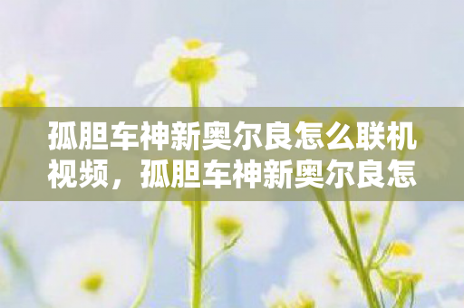 孤胆车神新奥尔良怎么联机视频图片