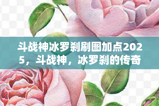 斗战神冰罗刹刷图加点2025，斗战神，冰罗刹的传奇之旅
