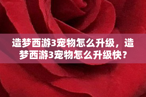 造梦西游3宠物怎么升级，造梦西游3宠物怎么升级快？