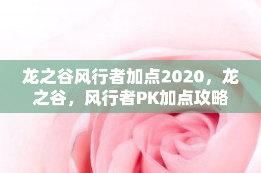 龙之谷风行者加点2020图片