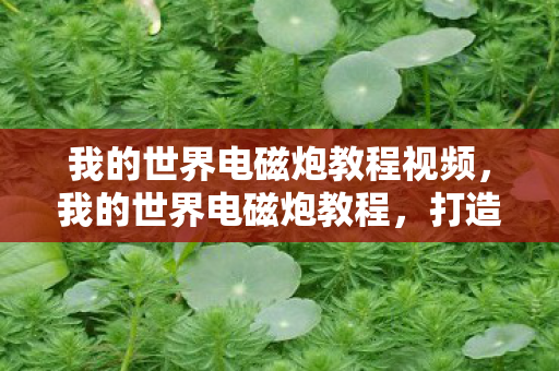 我的世界电磁炮教程视频图片