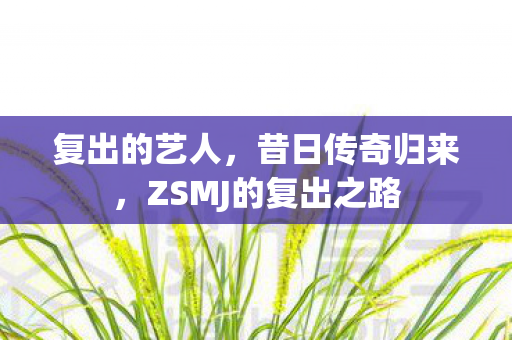 复出的艺人，昔日传奇归来，ZSMJ的复出之路