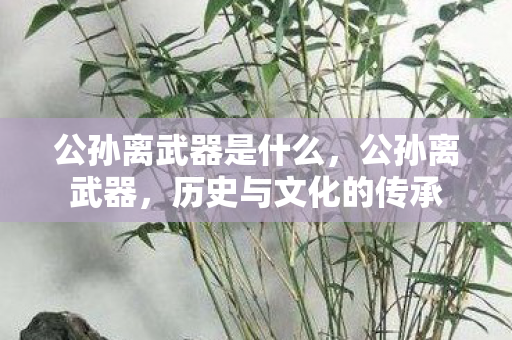 公孙离武器是什么图片