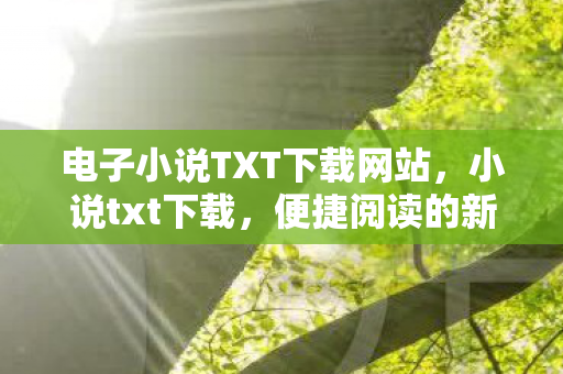 电子小说TXT下载网站图片
