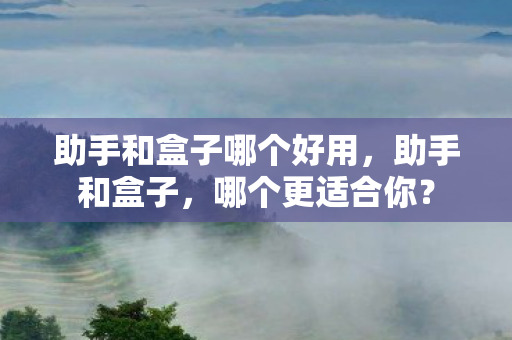 助手和盒子哪个好用图片