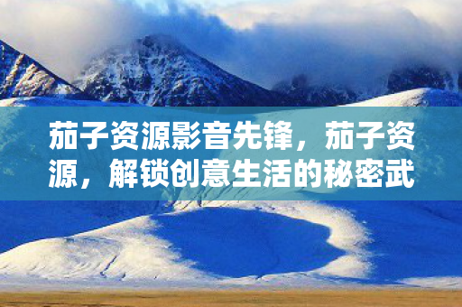 解锁创意生活的秘密武器图片