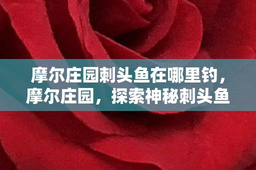 探索神秘刺头鱼的奇妙之旅图片