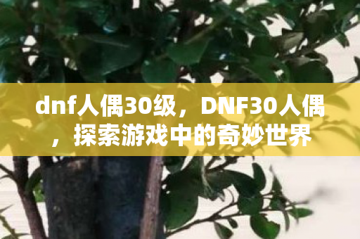 dnf人偶30级，DNF30人偶，探索游戏中的奇妙世界