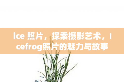 ice 照片，探索摄影艺术，Icefrog照片的魅力与故事