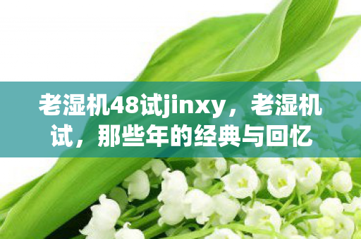 老湿机48试jinxy图片
