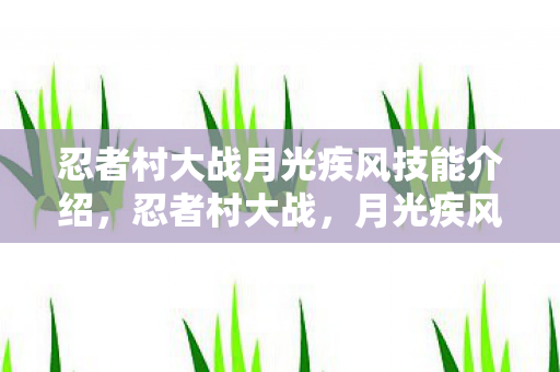 忍者村大战月光疾风技能介绍图片