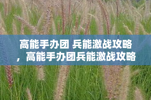 高能手办团 兵能激战攻略图片