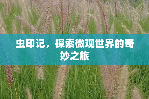 探索微观世界的奇妙之旅图片