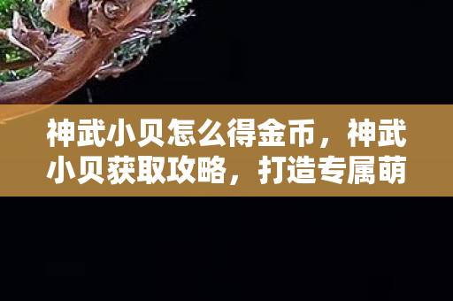 神武小贝怎么得金币图片