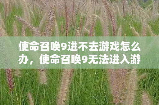 使命召唤9进不去游戏怎么办，使命召唤9无法进入游戏怎么办？