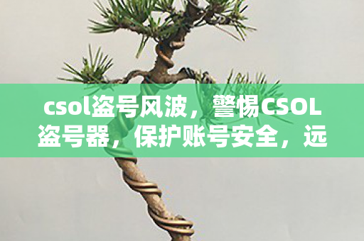 csol盗号风波，警惕CSOL盗号器，保护账号安全，远离网络诈骗