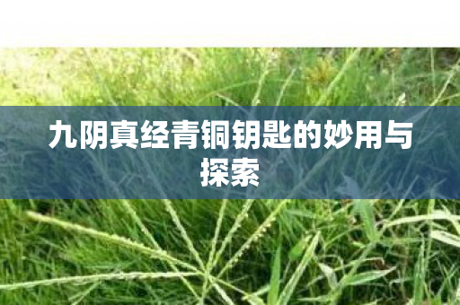 九阴真经青铜钥匙的妙用与探索图片