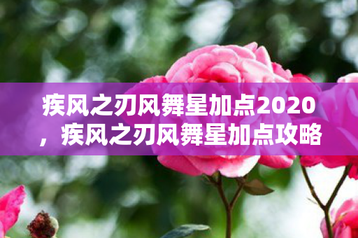 疾风之刃风舞星加点2020图片