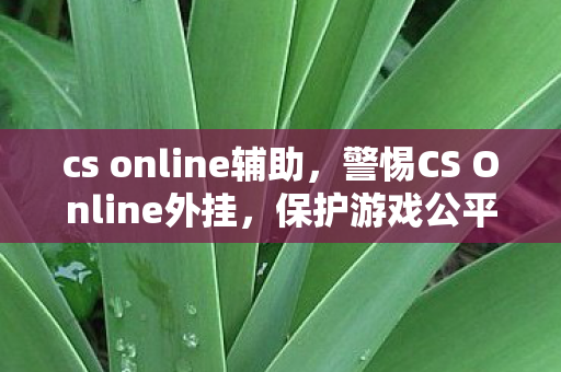 警惕CS Online外挂图片