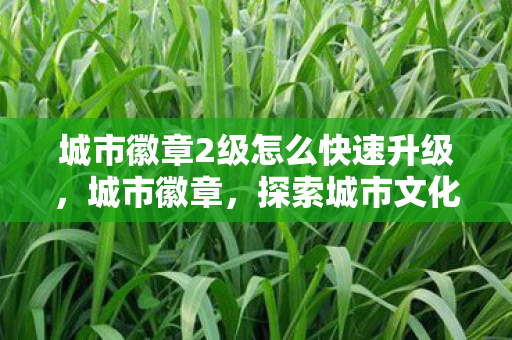 城市徽章2级怎么快速升级图片