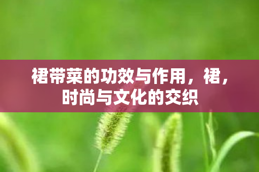 裙带菜的功效与作用图片