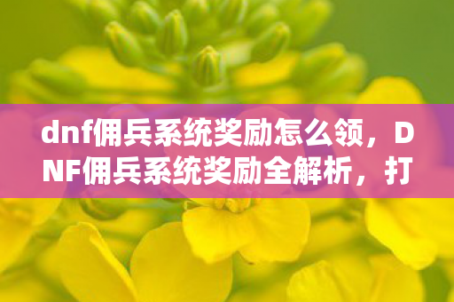 dnf佣兵系统奖励怎么领图片