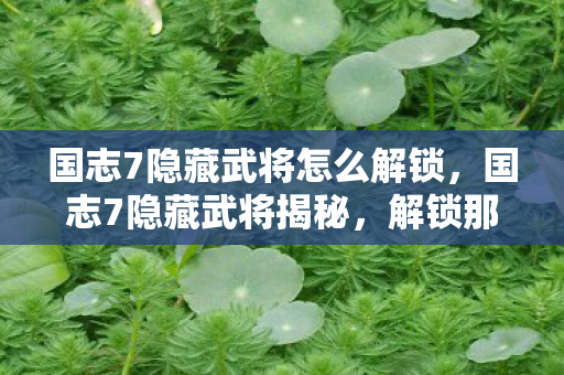 国志7隐藏武将怎么解锁，国志7隐藏武将揭秘，解锁那些未被发掘的传奇人物