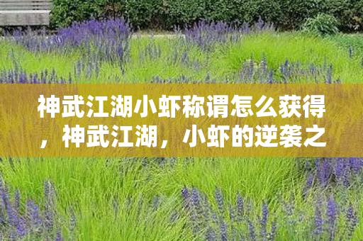 神武江湖小虾称谓怎么获得图片