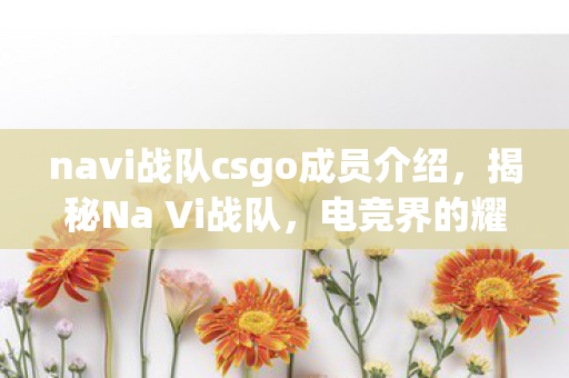 navi战队csgo成员介绍，揭秘Na Vi战队，电竞界的耀眼新星