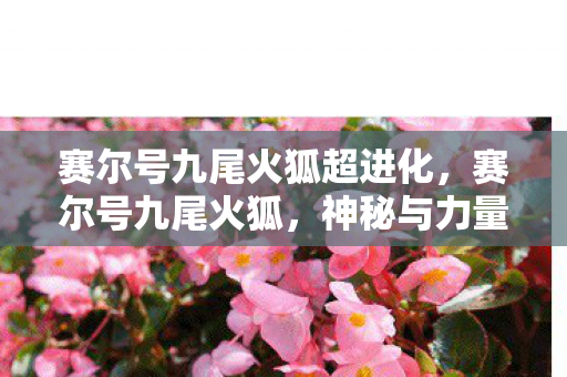 赛尔号九尾火狐超进化图片