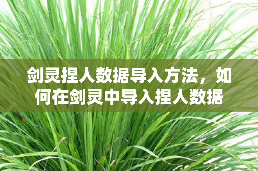 如何在剑灵中导入捏人数据图片