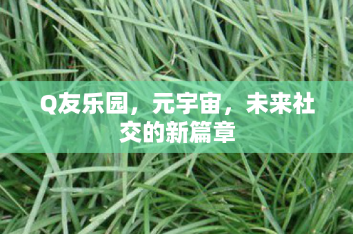 未来社交的新篇章图片