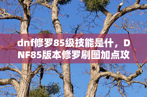 DNF85版本修罗刷图加点攻略图片