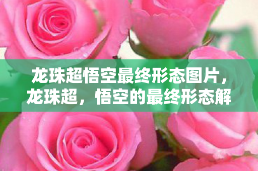 龙珠超悟空最终形态图片图片