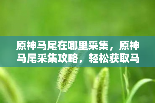 原神马尾在哪里采集图片