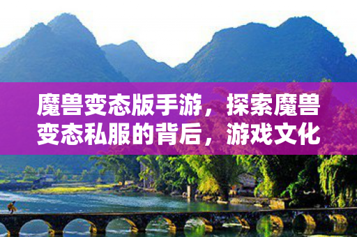 探索魔兽变态私服的背后图片