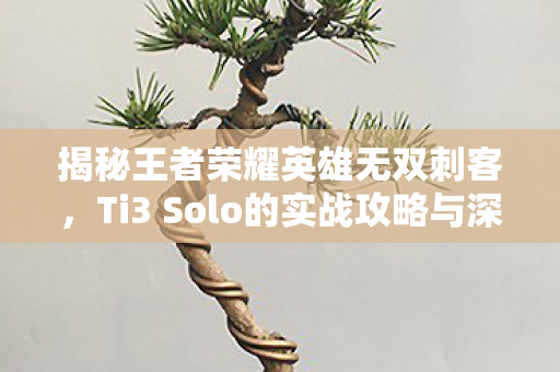 揭秘王者荣耀英雄无双刺客，Ti3 Solo的实战攻略与深度解析
