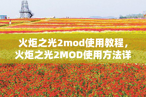 火炬之光2MOD使用方法详解图片