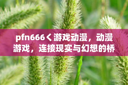 pfn666く游戏动漫图片