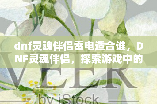 dnf灵魂伴侣雷电适合谁图片